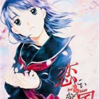  Аниме Koi Kaze <small>Director</small> 